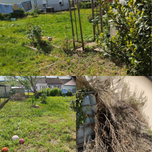 Photo de galerie - ( photo avant entretien )