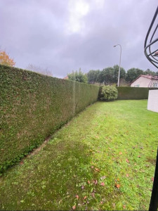 Photo de galerie - Haie au carré ✅