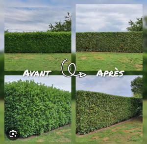 Photo de galerie - Voici mon avant et après mon travail un résultat parfait 
