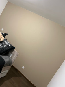 Photo de galerie - Peinture - Tapisserie