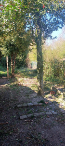 Photo de galerie - Élagage et travail de sol