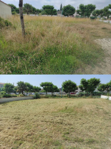 Photo de galerie - Tonte de pelouse - Débroussaillage