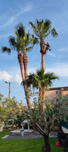 Photo de galerie - Jardinier