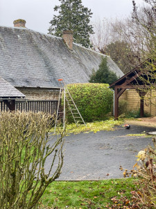 Photo de galerie - J’ai taillé avec taille 