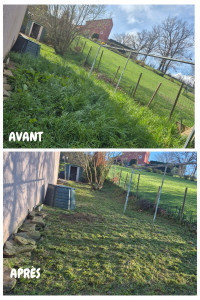 Photo de galerie - Tonte de pelouse - Débroussaillage
