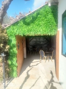 Photo de galerie - Couverture mur végétal abri de jardin 