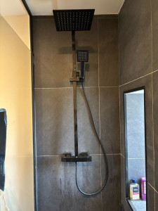 Photo de galerie - Replacement d’un mitigeur, plus colonne de douche