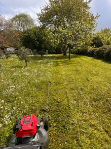 Photo de galerie - Tonte de jardin 