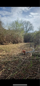 Photo de galerie - Débroussaillage terrain 