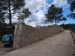 Photo de galerie - Mur en pierre.