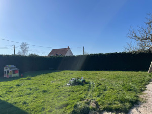 Photo de galerie - Elagage et coupe d'arbres