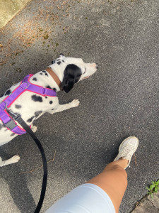 Photo de galerie - With Itchi :) 