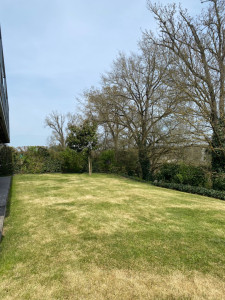 Photo de galerie - Tonte de pelouse 