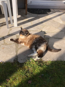 Photo de galerie - Séance bronzette pour Kioko