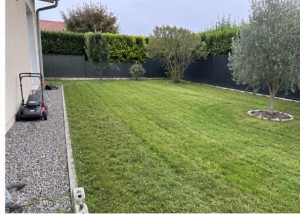 Photo de galerie - Une pelouse tondue proprement avec évacuation 