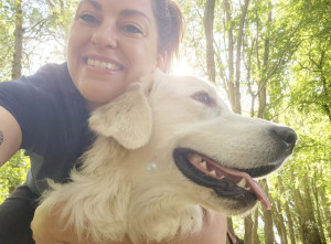 Photo de galerie - Mon golden ! Récupéré après deux abandons... Mon quotidien ? Lui. Balades, jeux, éducation... ! Il est mon activité préférée, et mon cœur d'amour ! 
Uno est super sociable avec ses congénères et adore jouer avec. 