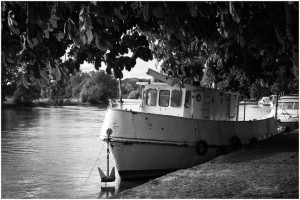 Photo de galerie - Photographe