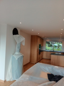 Photo de galerie - Rénovation complète 