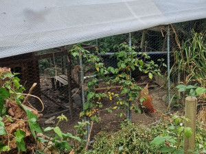 Photo de galerie - Paysagiste - Aménagement du jardin