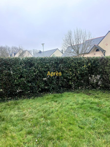 Photo de galerie - Taille haie variée 