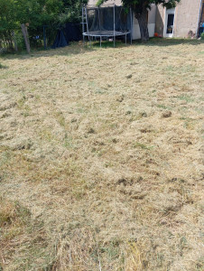 Photo de galerie - Voilà la tonte il y a plusieurs hauteur de coupe 