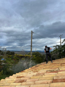 Photo de galerie - Nettoyage de toitures 