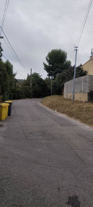 Photo de galerie - Débroussaillage et nettoyage 
