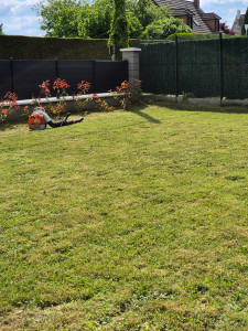 Photo de galerie - Tonte de pelouse - Débroussaillage