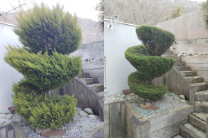 Photo de galerie - Remise en valeur