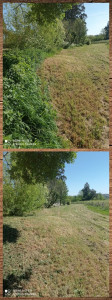 Photo de galerie - Tonte de pelouse - Débroussaillage