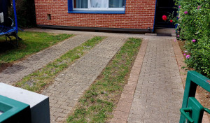 Photo de galerie - Roubaix 26/07/25