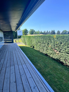 Photo de galerie - Taille d’une haie de Thuya de 80 ml 