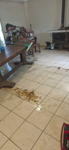 Photo de galerie - Carrelage