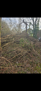Photo de galerie - Paysagiste - Aménagement du jardin