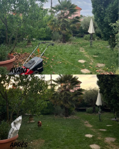 Photo de galerie - Entretien d'un jardin (nettoyage et tonte)