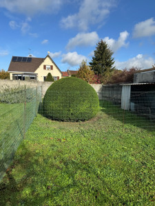 Photo de galerie - Taille de haies et d'arbustes
