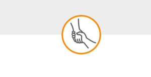 Photo de galerie - Petits transports 