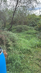 Photo de galerie - Avant 