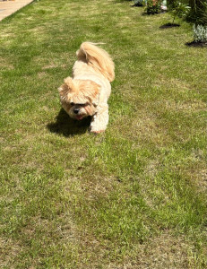 Photo de galerie - Balade, jeux, nourrissage…