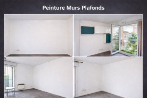 Photo de galerie - Peinture Murs Plafonds