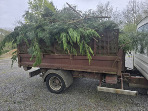 Photo de galerie - Paysagiste - Aménagement du jardin