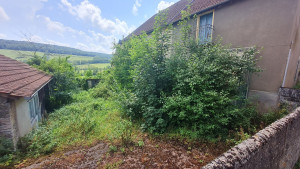 Photo de galerie - Débroussaillage et Abattage de jeunes arbres