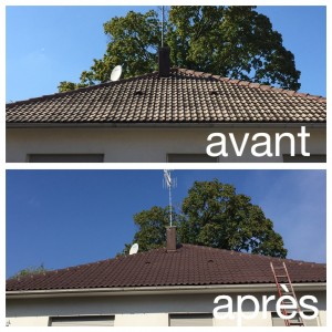 Photo de galerie - Couverture - Toiture