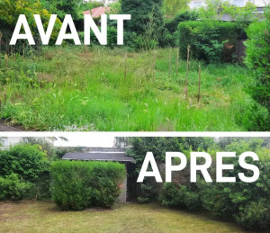 Photo de galerie - Voici les prestations faite avant après 