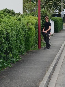 Photo de galerie - Taille de haie 