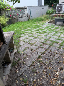 Photo de galerie - Paysagiste