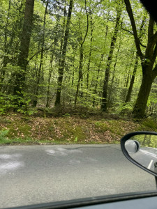 Photo de galerie - J’intervient dans tout le pays de Brocéliande 