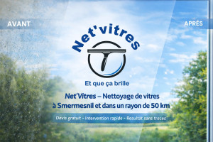 Photo de galerie - Net'vitres