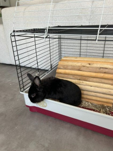 Photo de galerie - Garde animaux