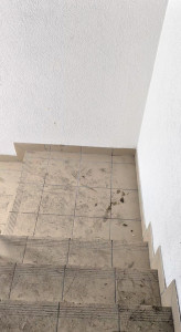 Photo de galerie - Nettoyage des communs d'un bâtiment en vie d'une vente